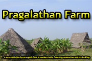 Pragalathan Farm